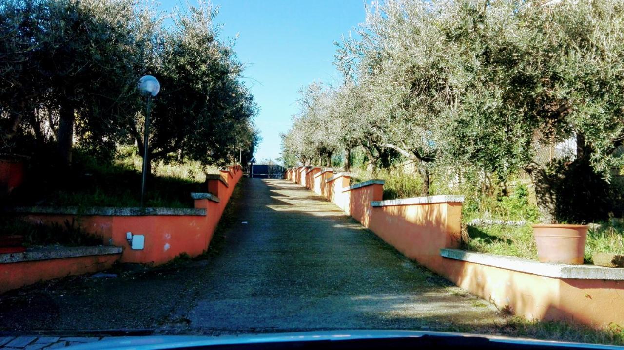 Villa Locazione Turistica Dream House Marzia Rom Exterior foto